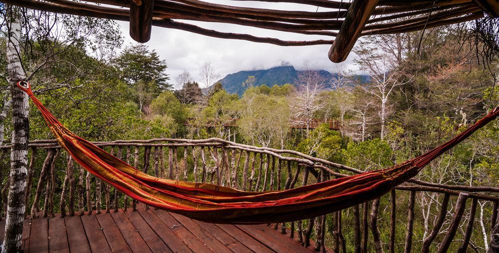 Tree Lodge Nidos De Pucon Ngoại thất bức ảnh