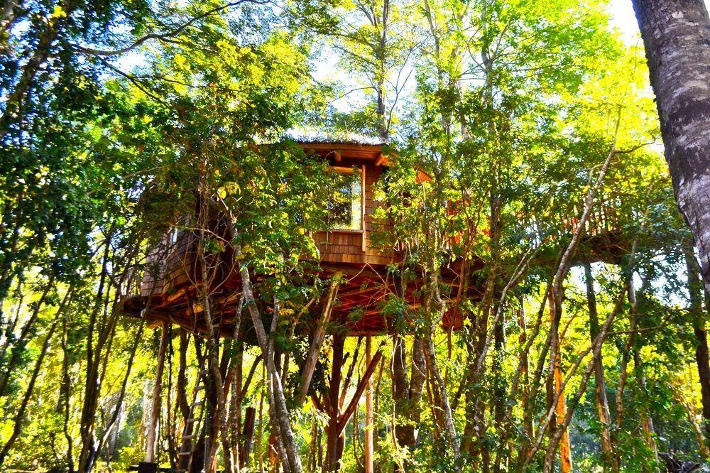 Tree Lodge Nidos De Pucon Ngoại thất bức ảnh