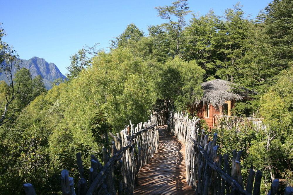 Tree Lodge Nidos De Pucon Ngoại thất bức ảnh