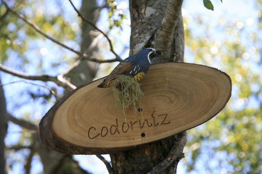 Tree Lodge Nidos De Pucon Ngoại thất bức ảnh
