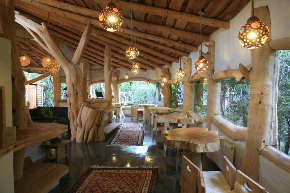 Tree Lodge Nidos De Pucon Ngoại thất bức ảnh